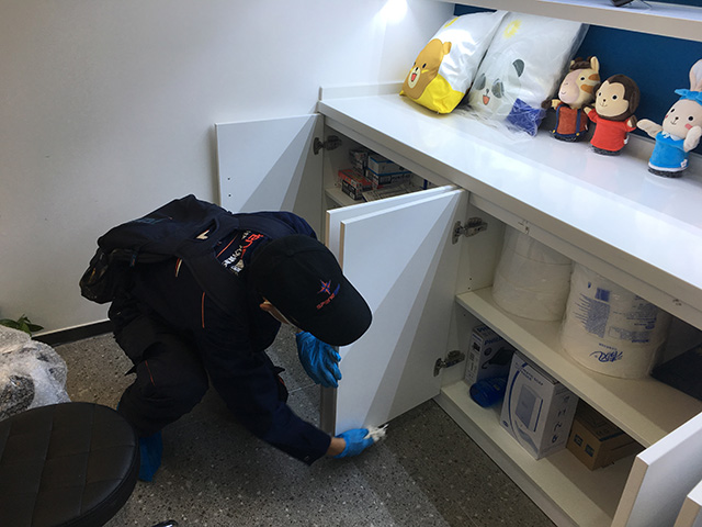裝修完快速除甲醛的好方法是什么?怎么除甲醛？